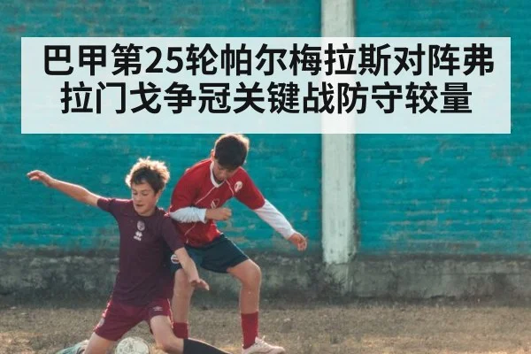 巴甲第25轮帕尔梅拉斯对阵弗拉门戈争冠关键战防守较量